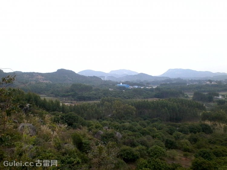 杜浔镇过洋村龙兴寺